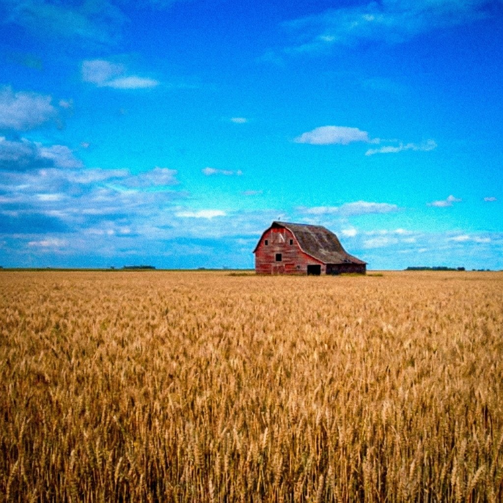 Prairie Home Grain Banner